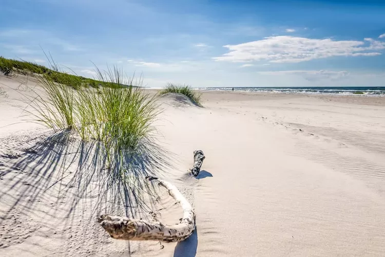 Dom wakacyjny w Sasinie dla max 10 osób-Gebieden zomer 5km