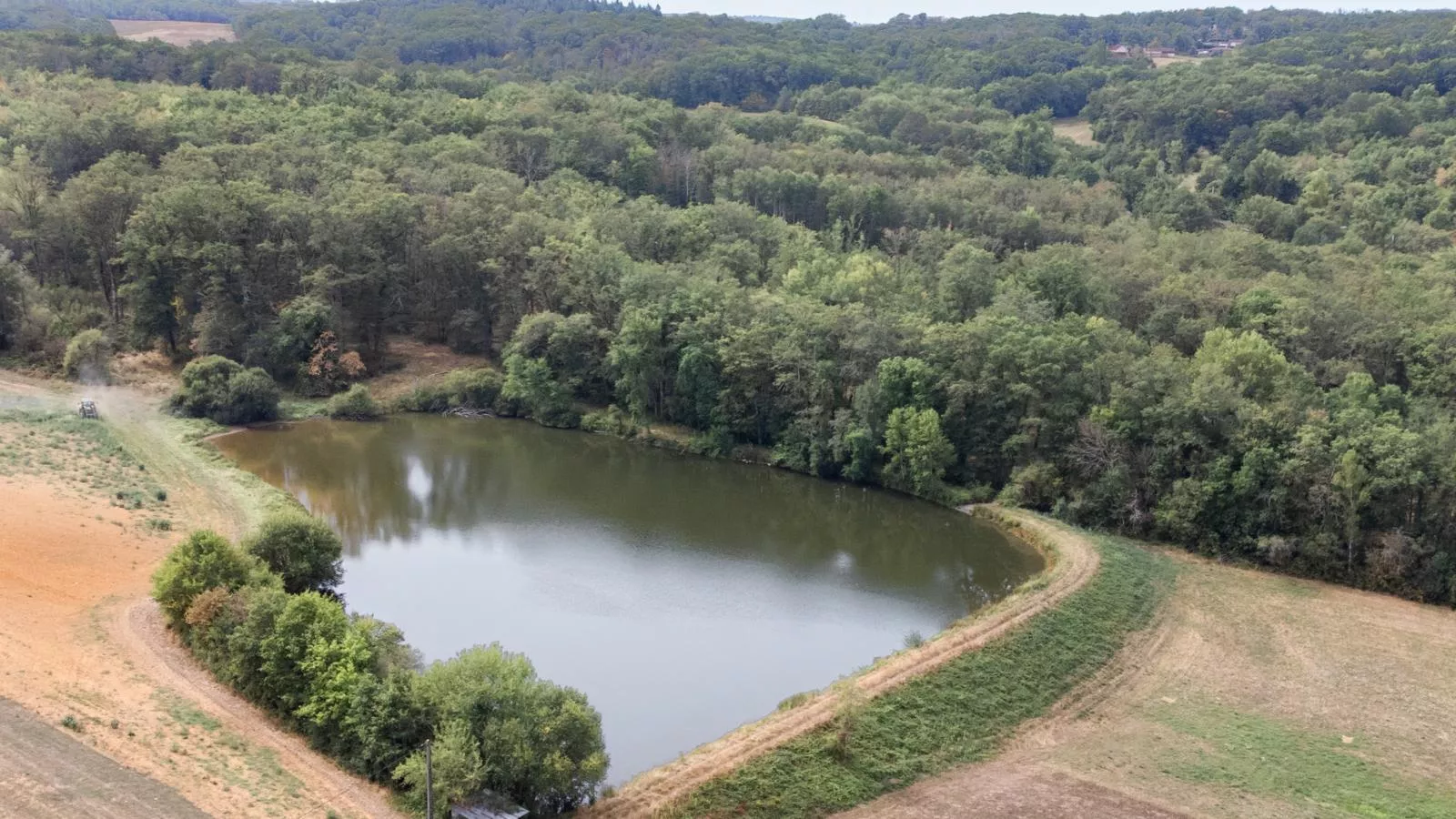 Nénuphar-Gebieden zomer 1km