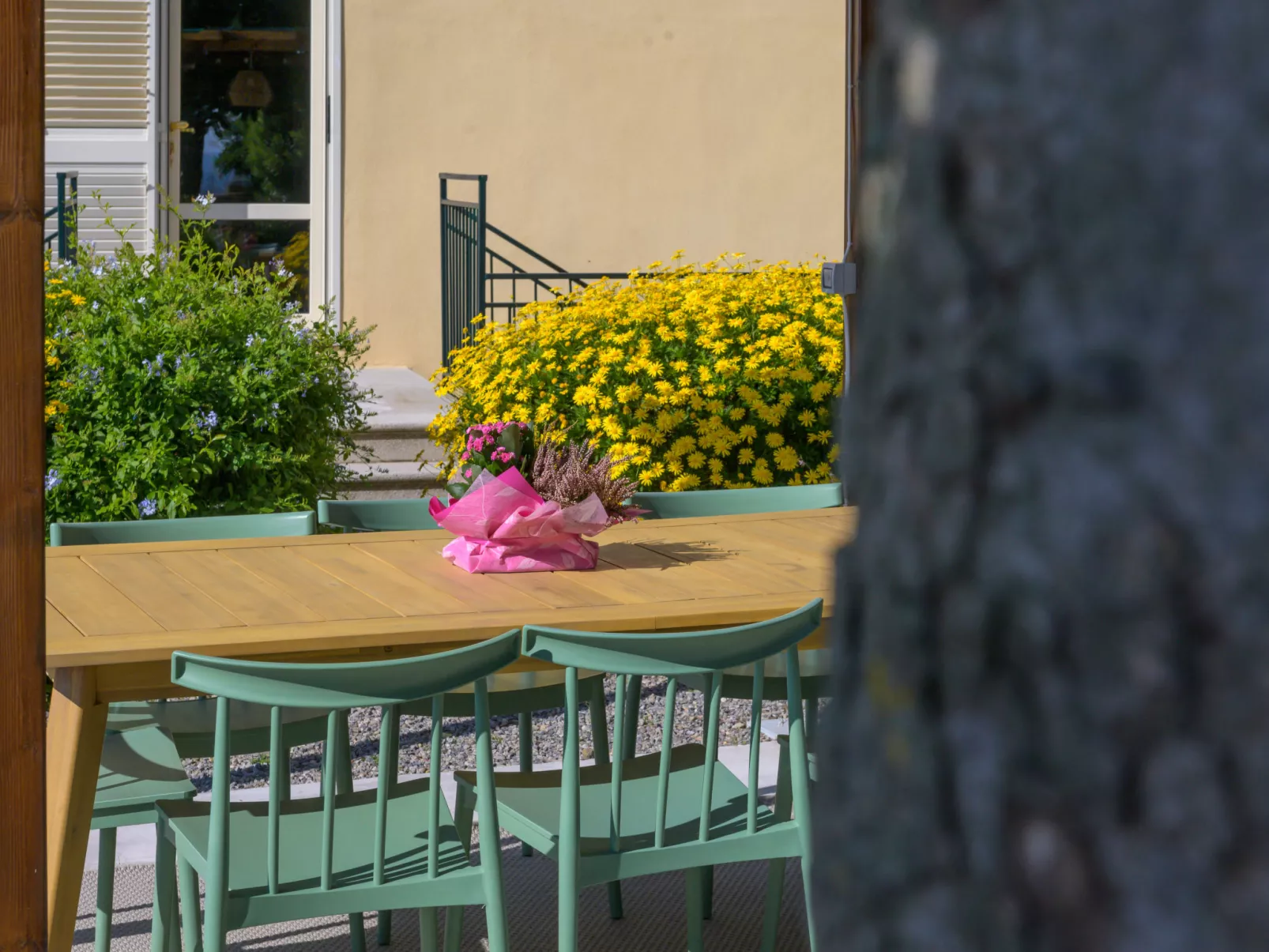 Il Belvedere di Montiano-Buiten