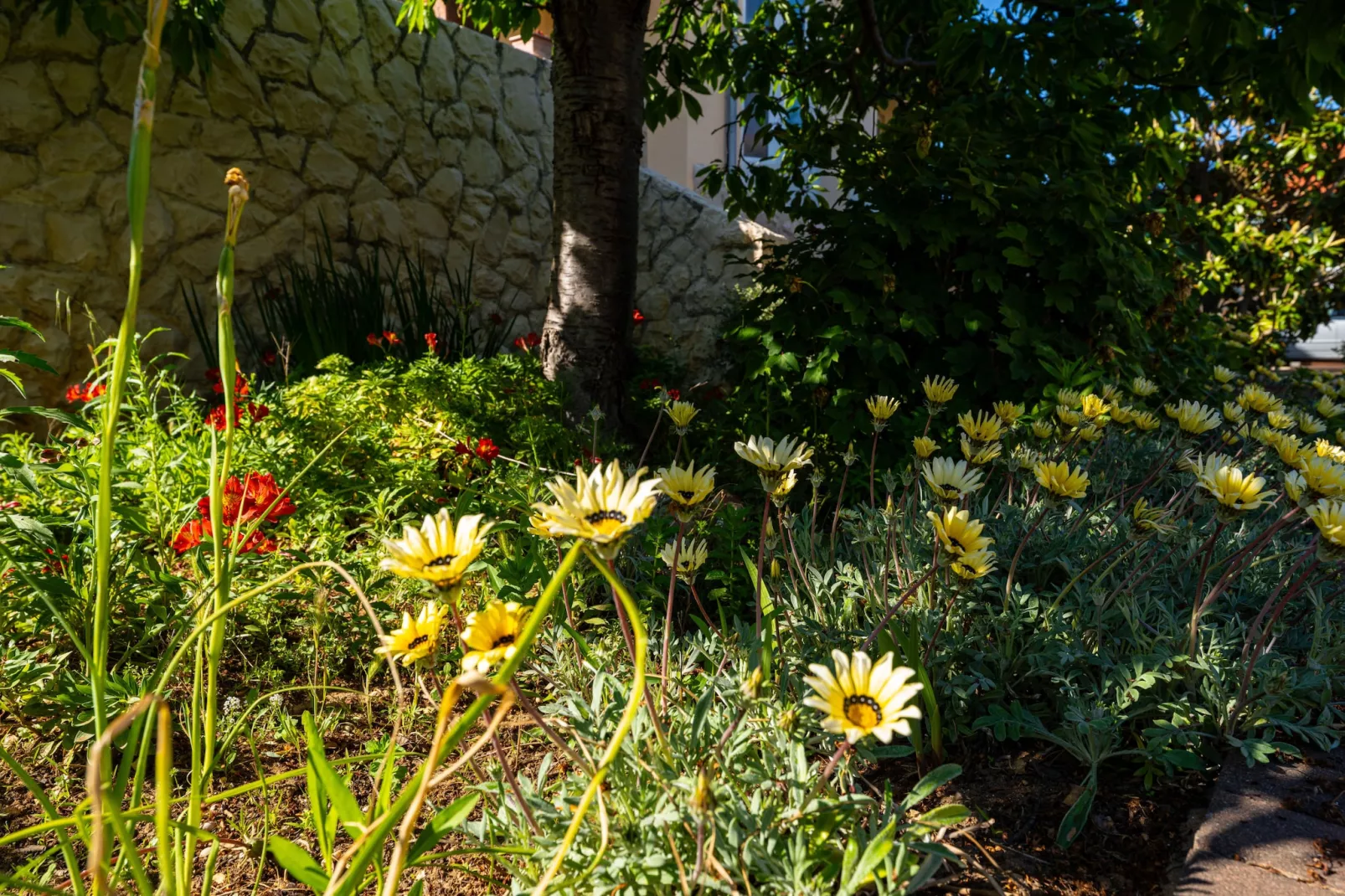Beach house Privlaka-Tuinen zomer