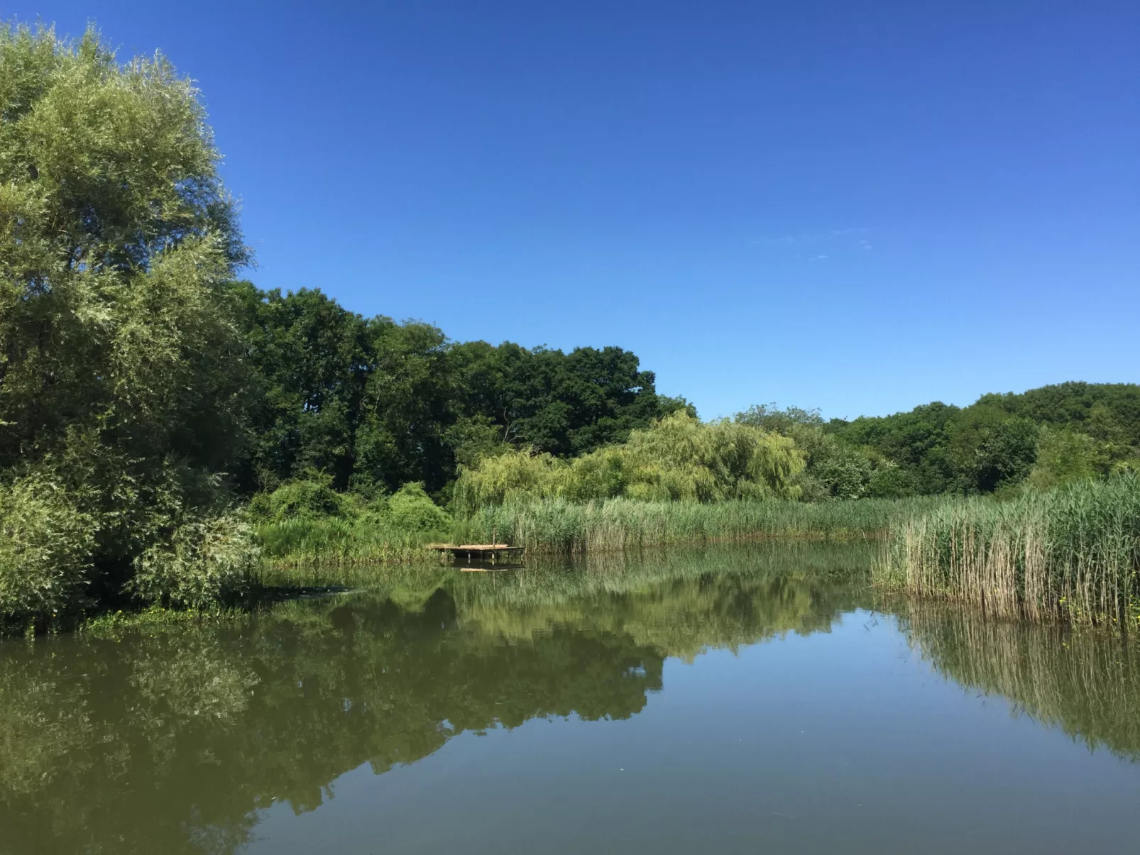 New Park Farm-Buiten