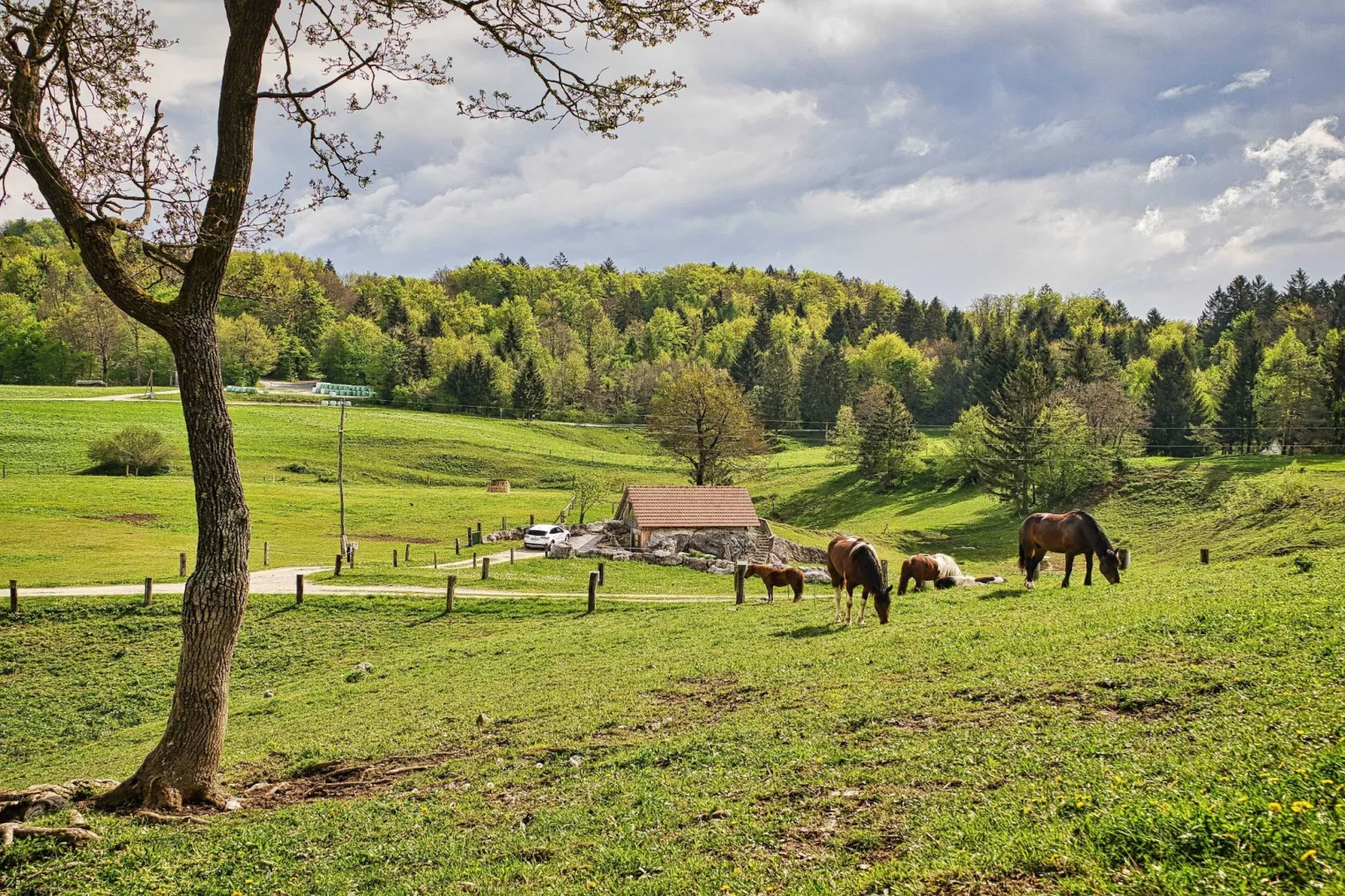 Visnja Gora Meadow Hideaway with Terrace - One Bedroom Cottage with Terrace (owner Hiška na skalci)-Buitenlucht