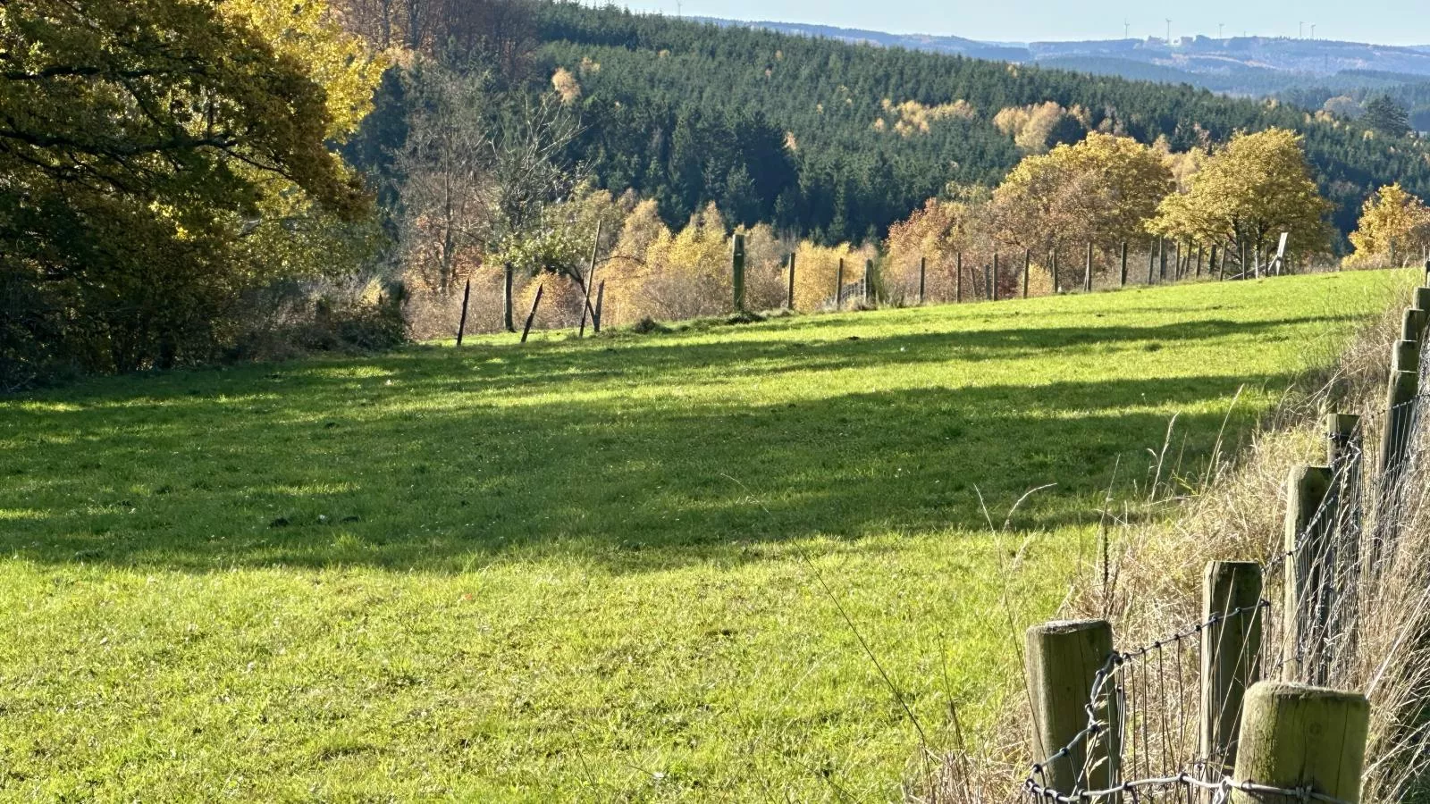 Petit Wilogne-Gebieden zomer 1km