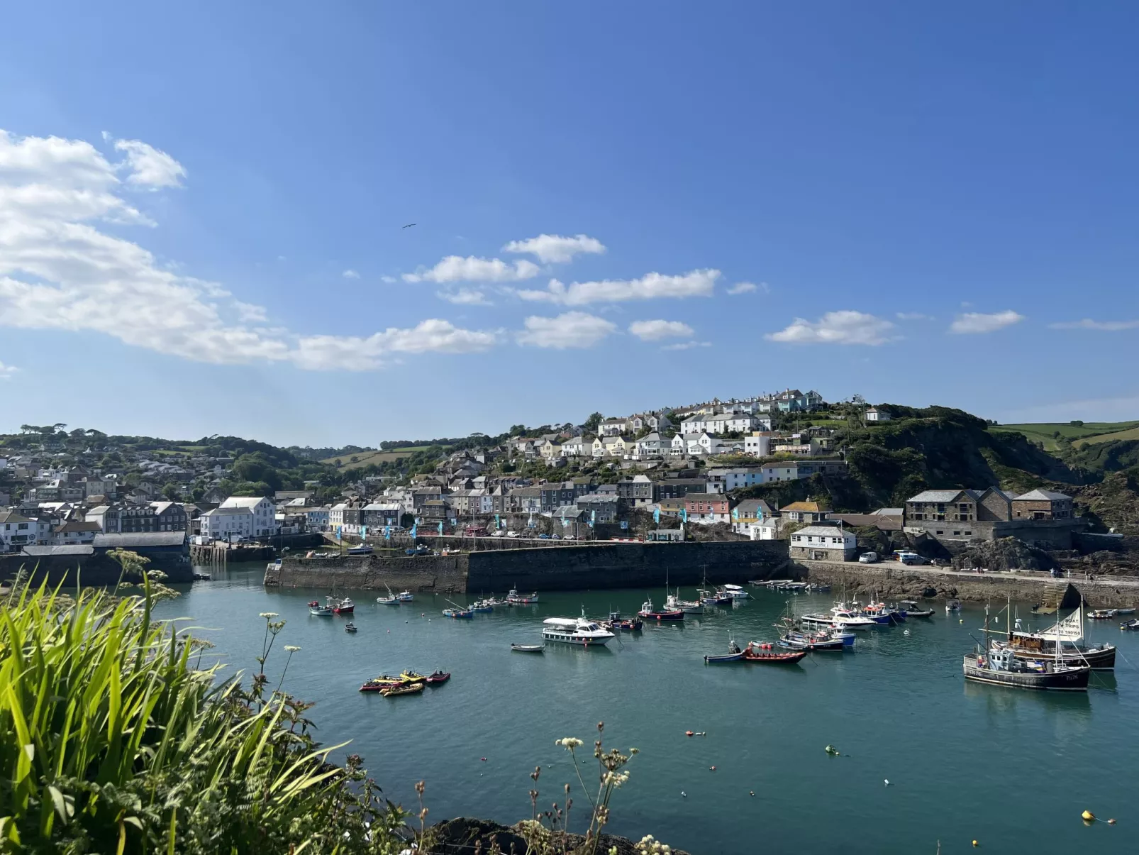 Shanty Cottage-Omgeving