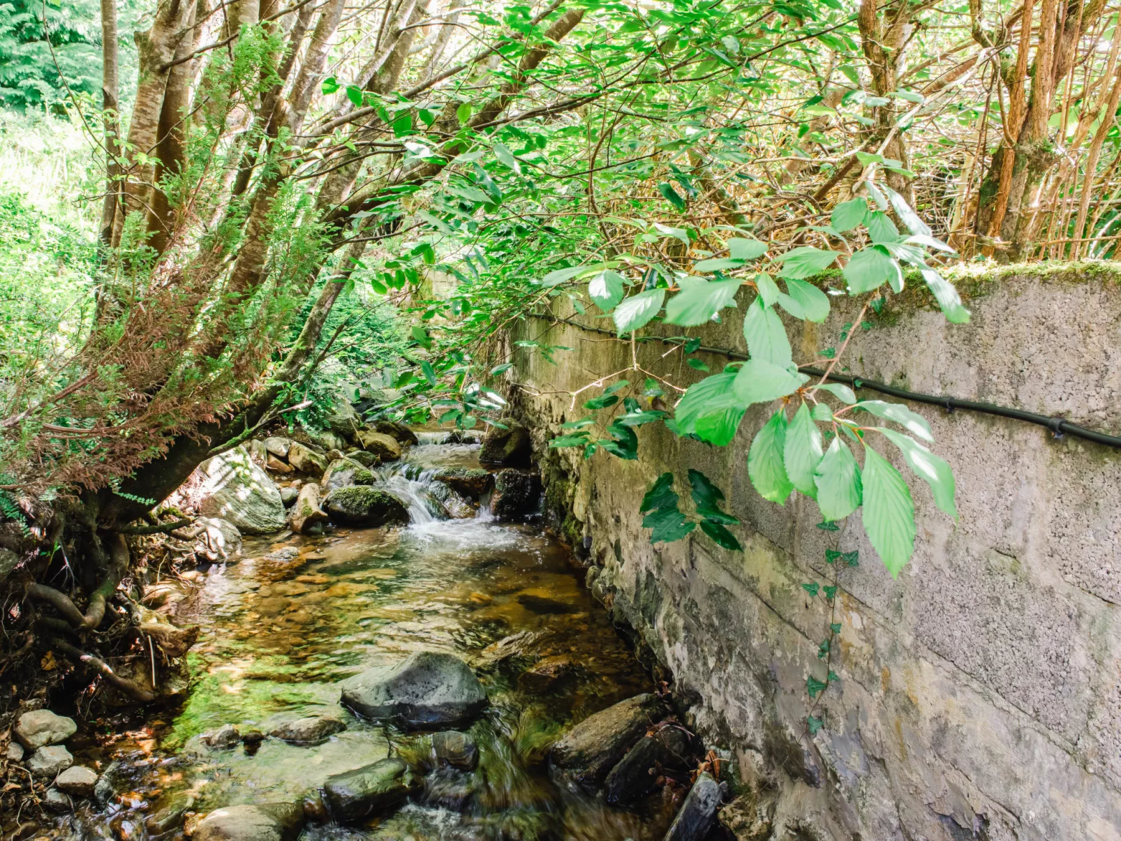 Wayside Bothy-Buiten