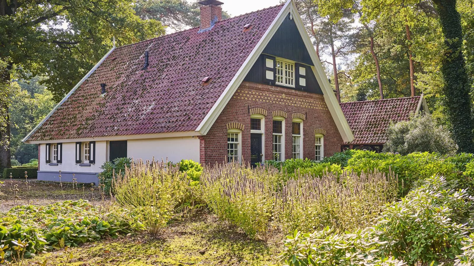 Erve Het Klaashuis-Buitenkant zomer