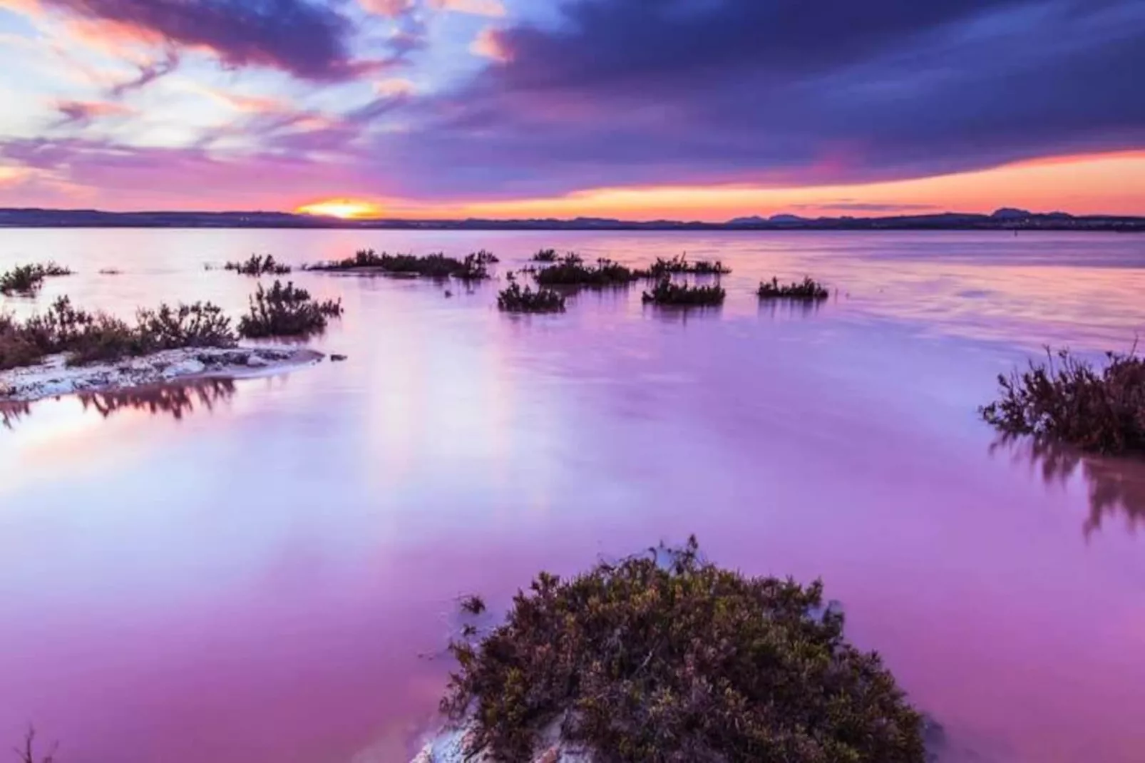 Villa Moderne Avec Piscine Priv&eacute;e Au Golf Vistabella-Niet-getagd