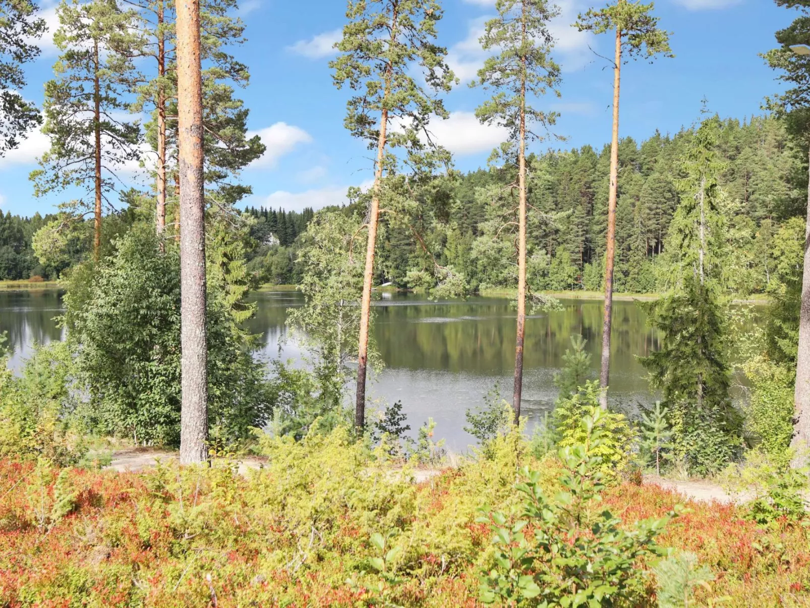 Vuokatin loiste 9 a 2-Binnen