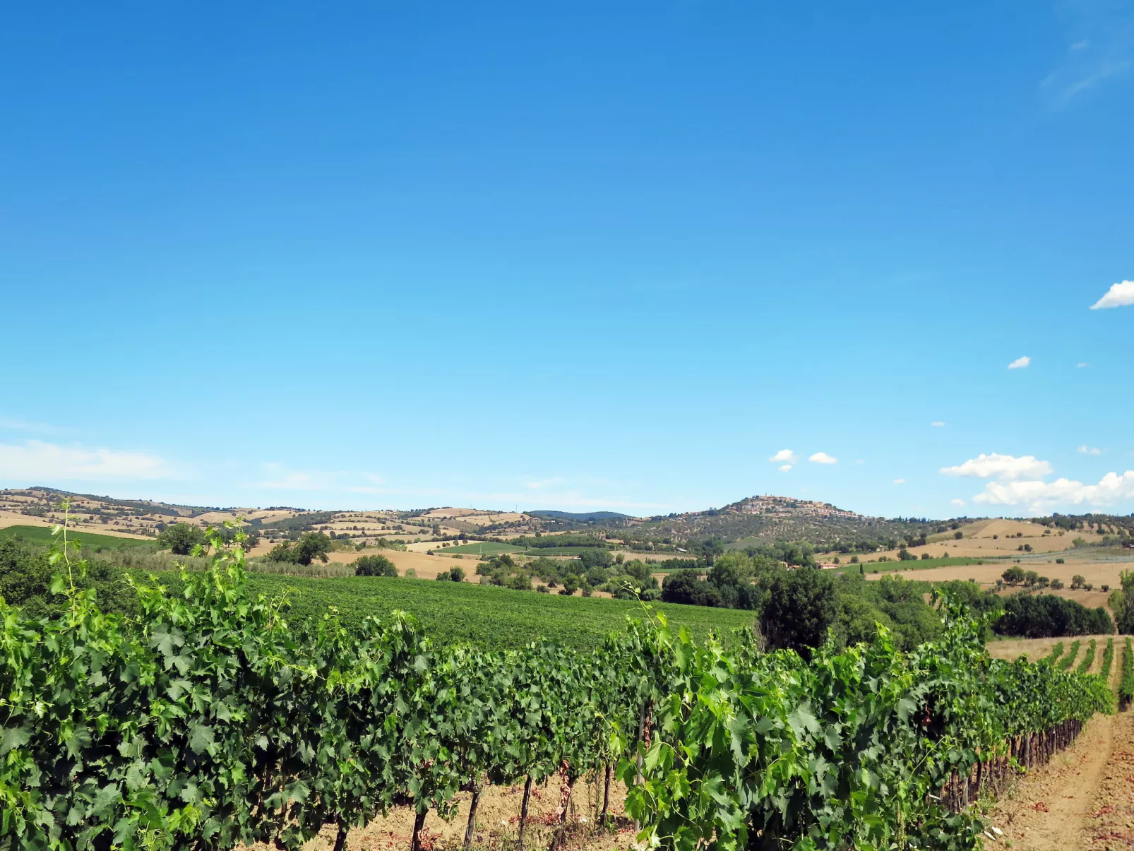 Il Belvedere di Montiano-Omgeving