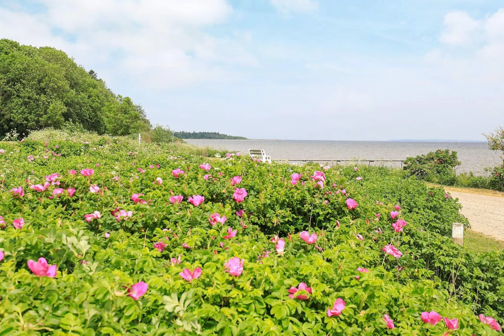 9 persoons vakantie huis in Roslev-Uitzicht