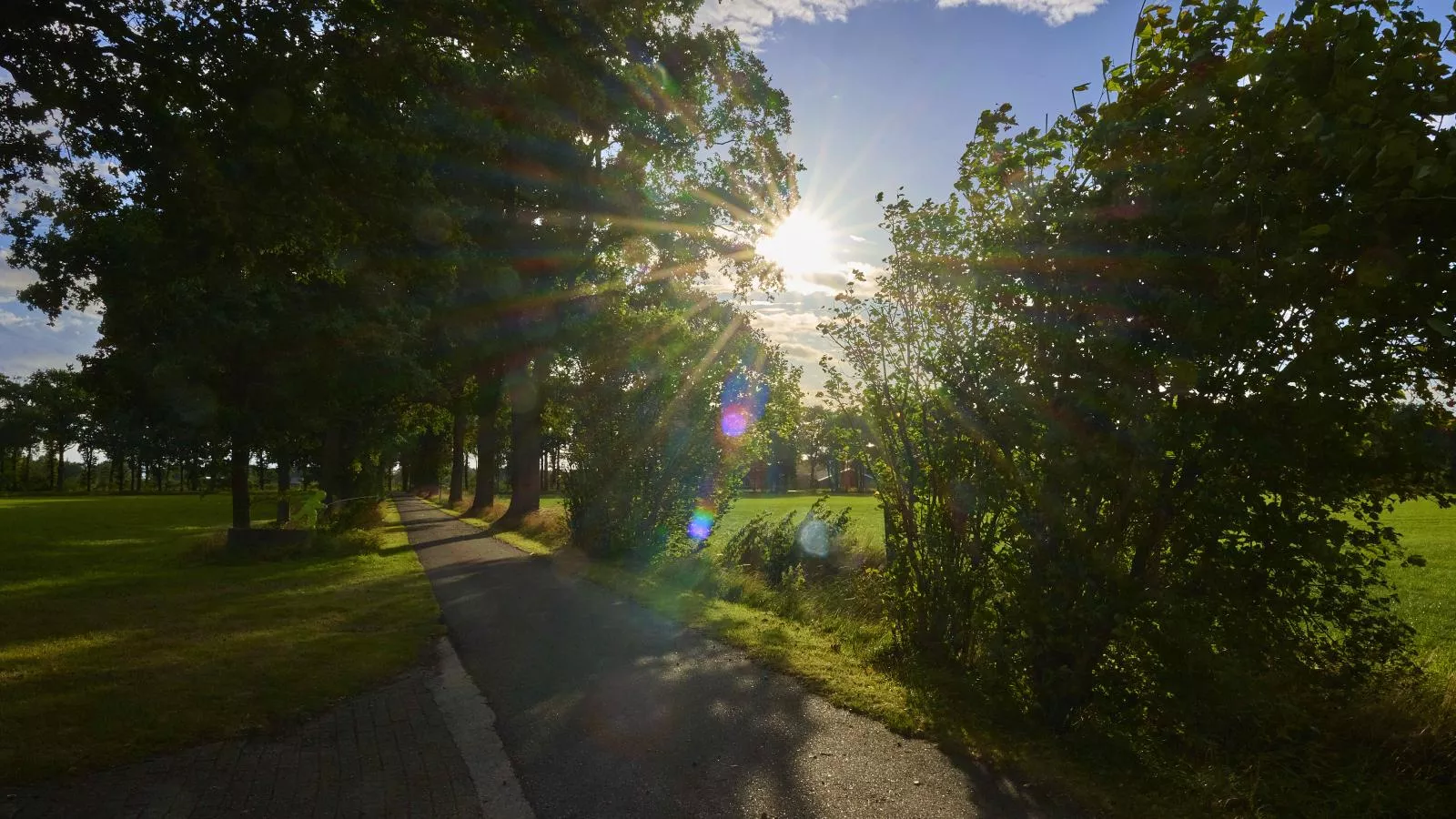 Erve Koeleman-Gebieden zomer 5km
