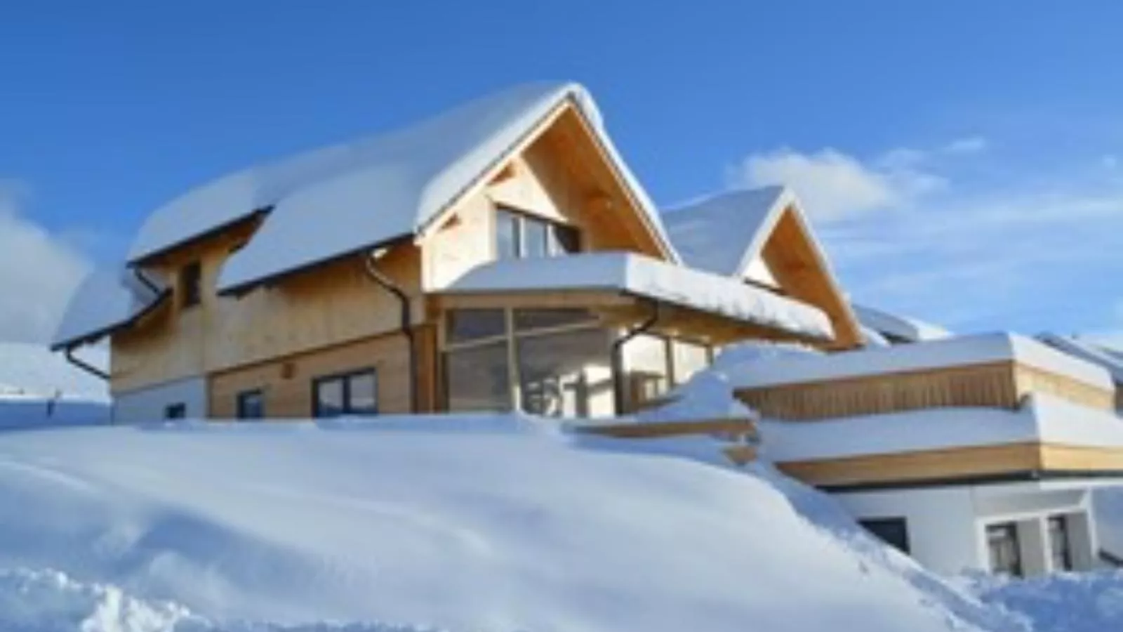 Designchalets Falkertsee-Exterieur winter