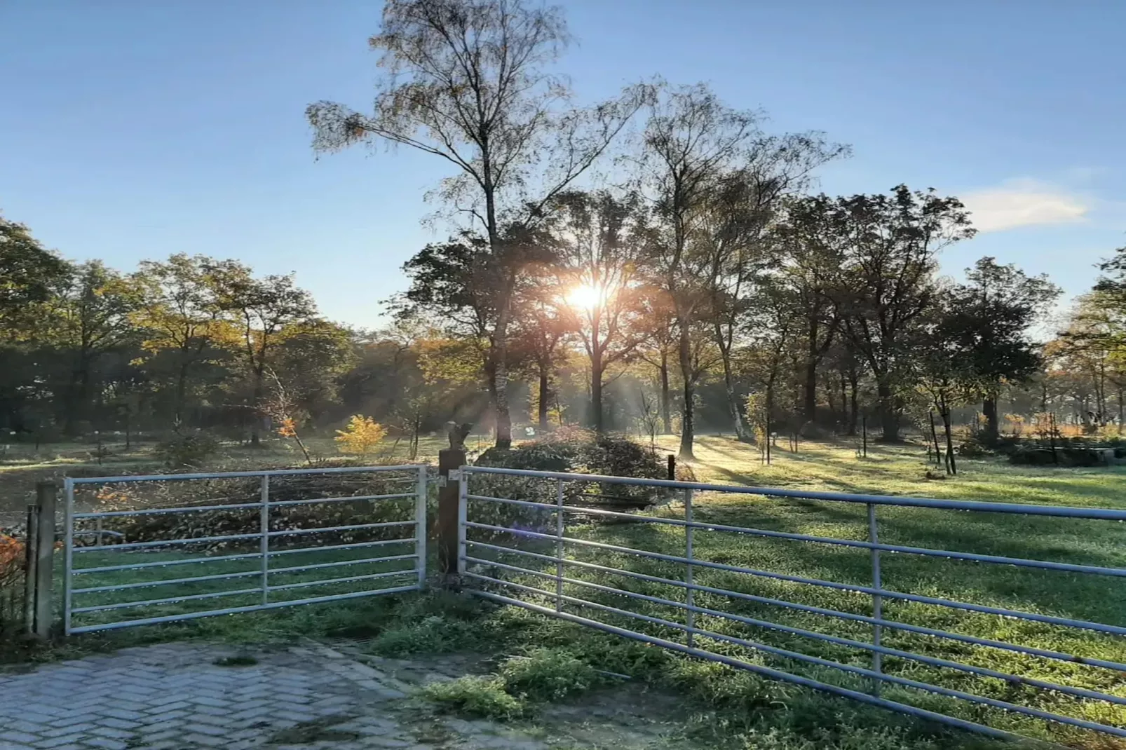Het Boshuis-Uitzicht zomer