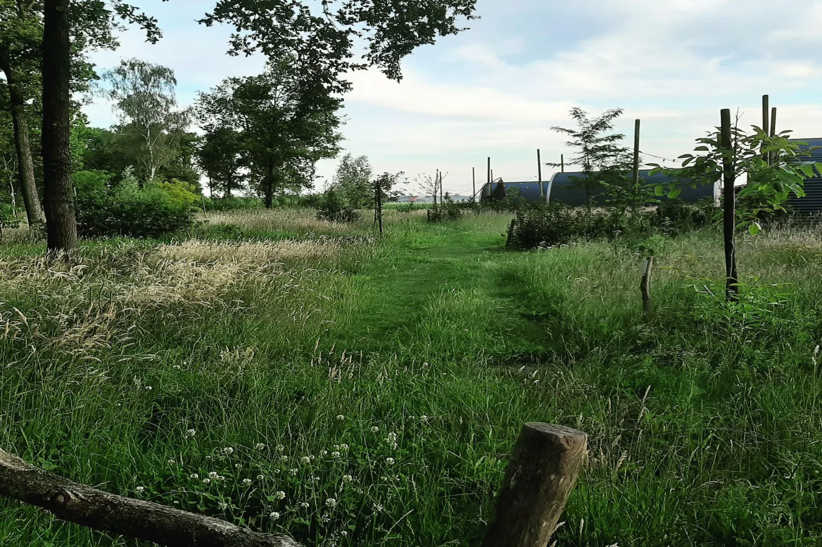 De Ree en de Specht-Gebieden zomer 1km