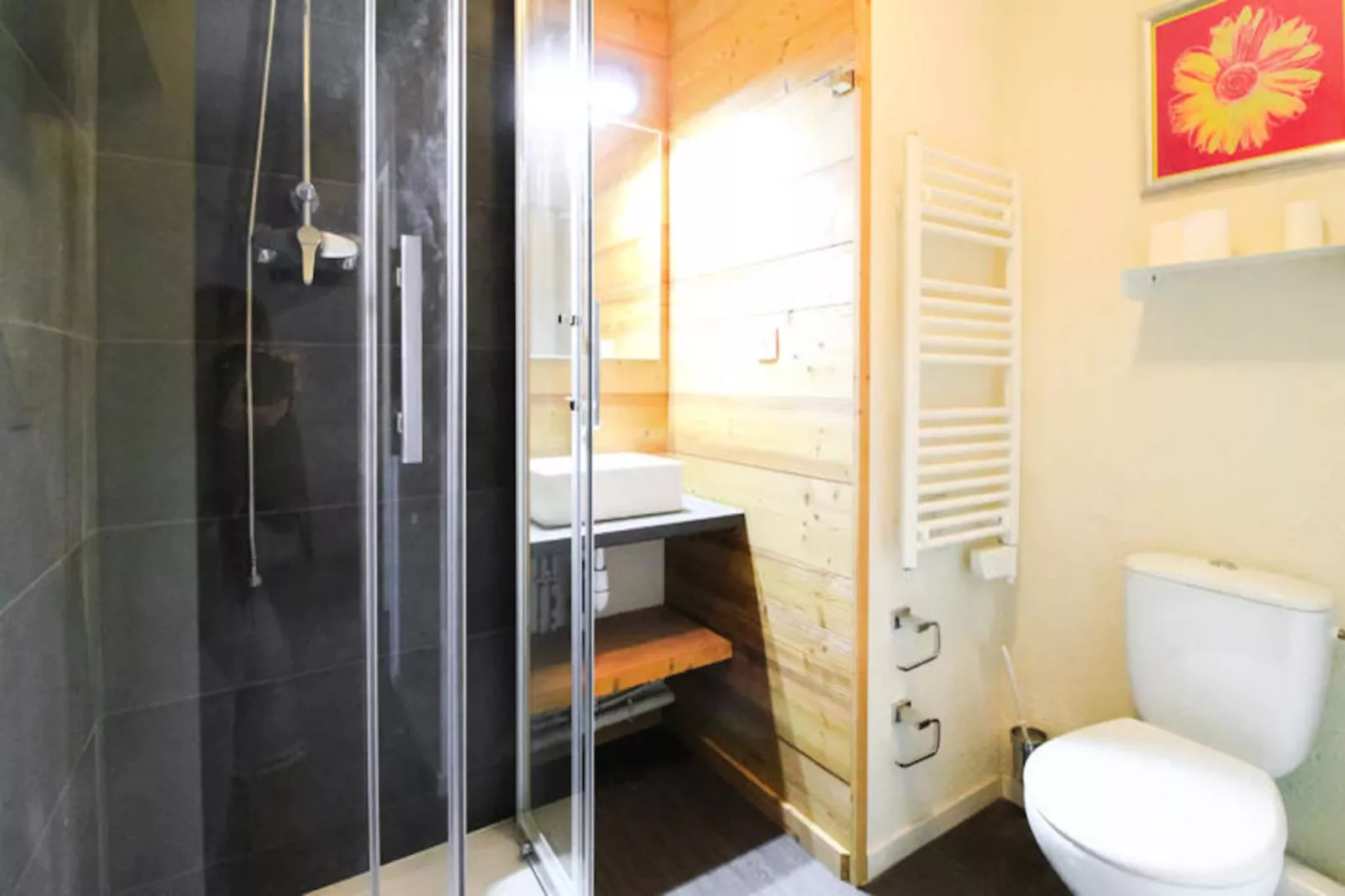 Appartements à Flaine-Niet-getagd