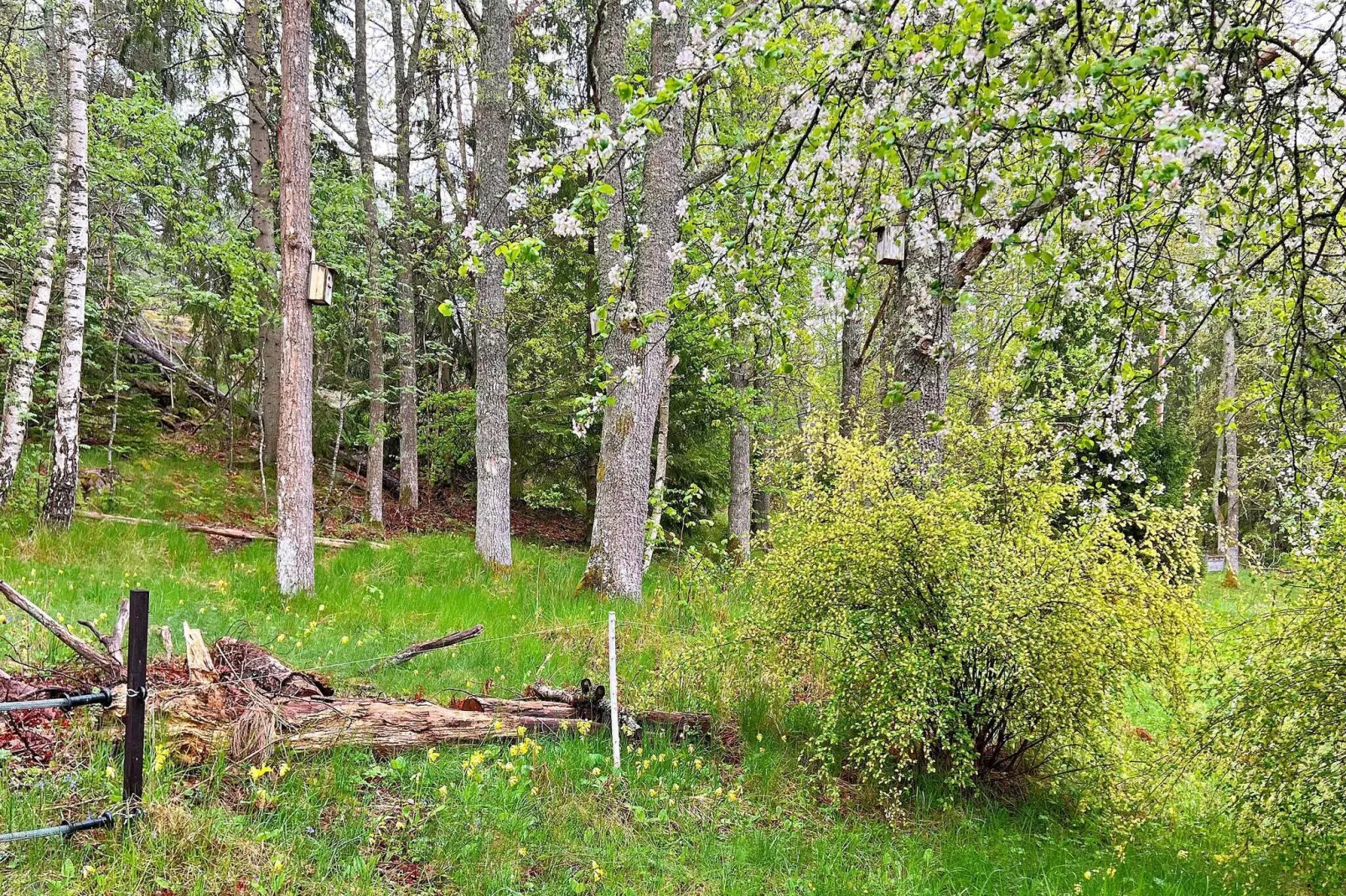 4 persoons vakantie huis in Mörkö-Niet-getagd