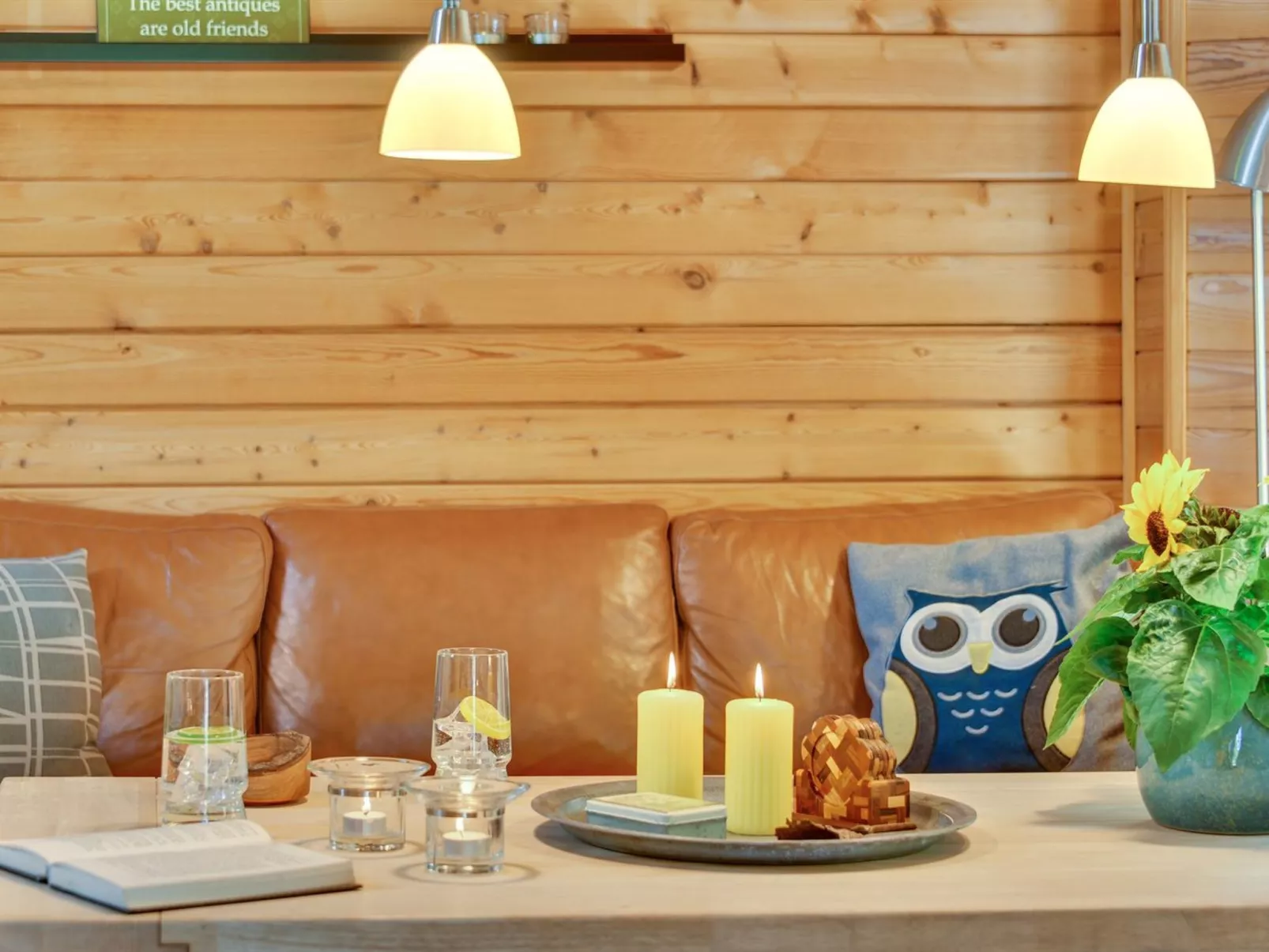 "Jorina" - 700m to the fjord-Binnen