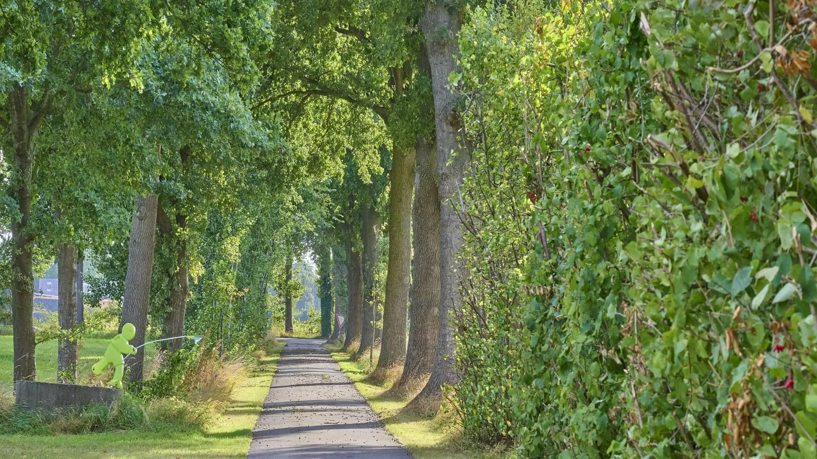 T Achterhoes-Gebieden zomer 5km