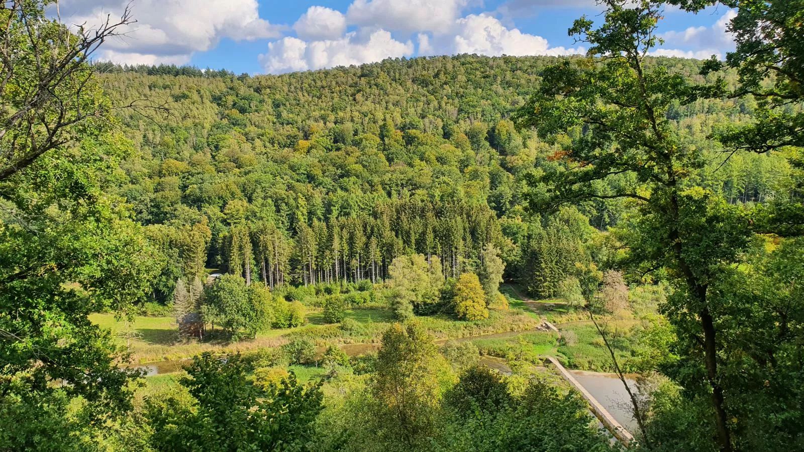 Agathe-Gebieden zomer 1km