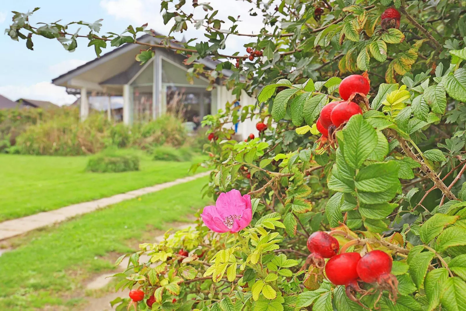 6 persoons vakantie huis in Faaborg-Uitzicht