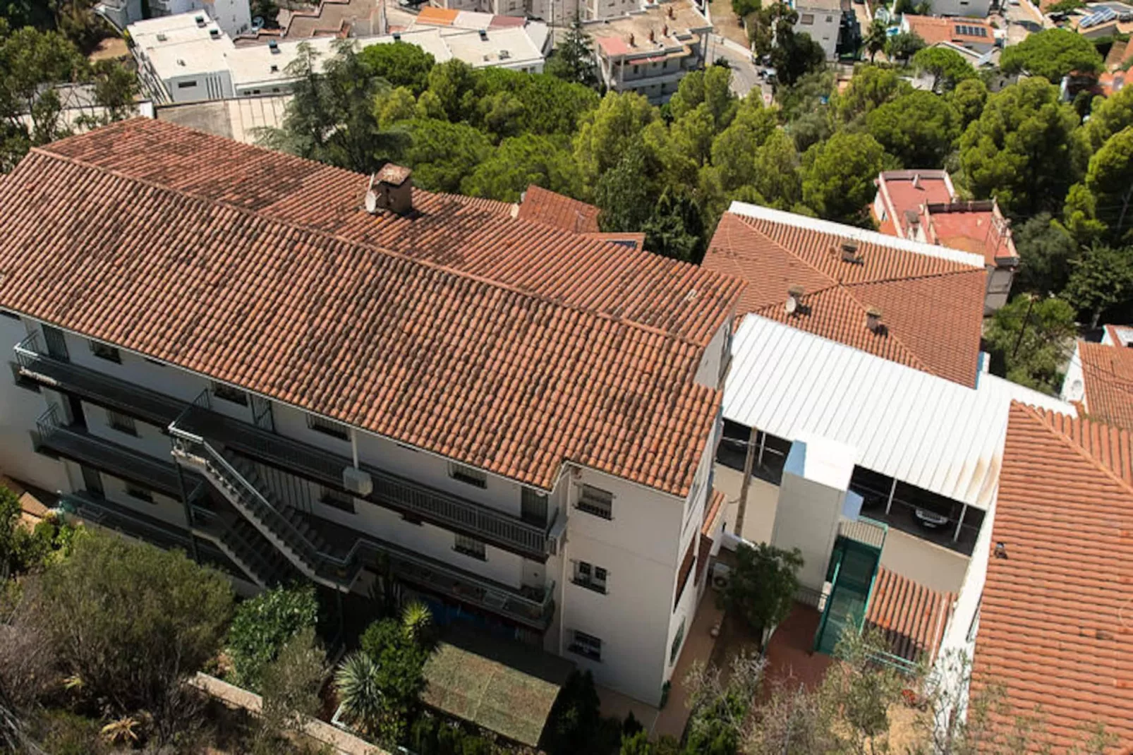 Maison à Roses-Niet-getagd