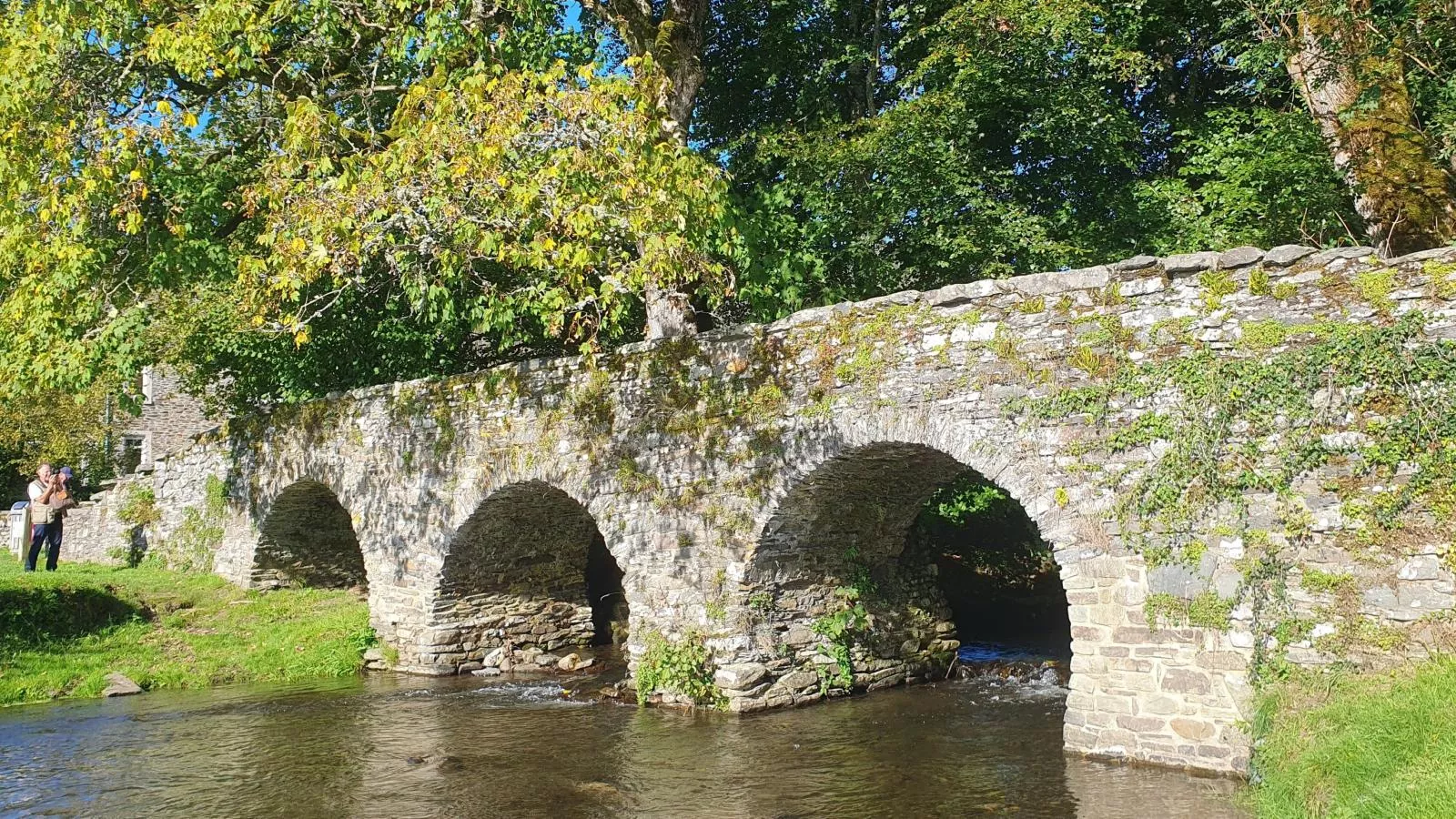 Agathe-Gebieden zomer 1km