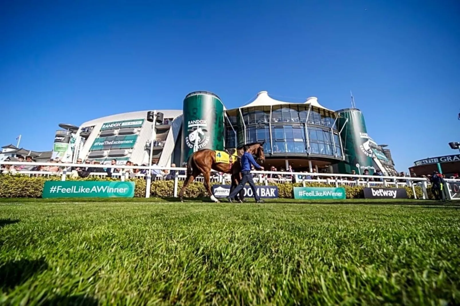 Junior Suite-Faciliteiten