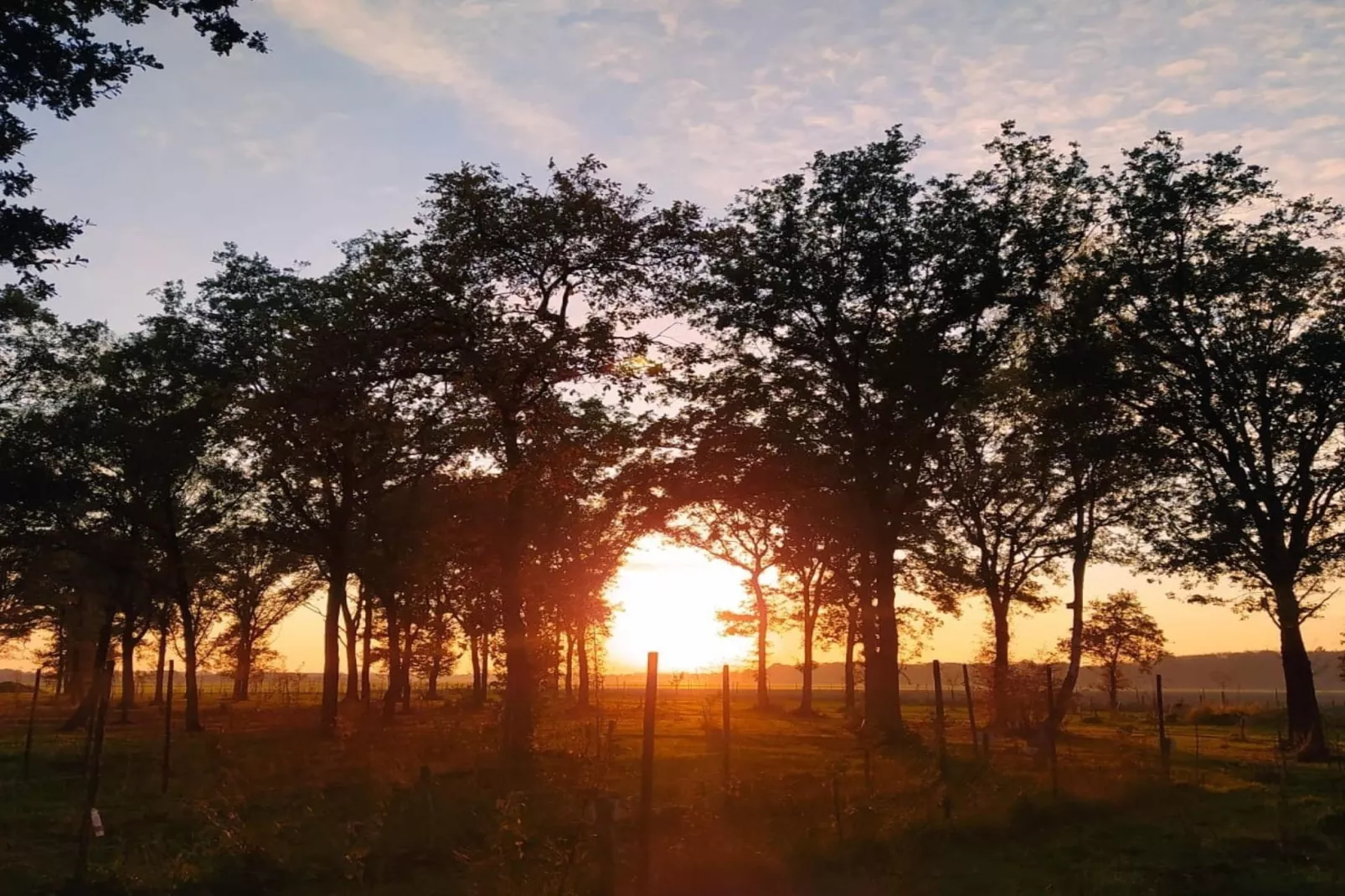 De Ree en de Specht-Gebieden zomer 5km