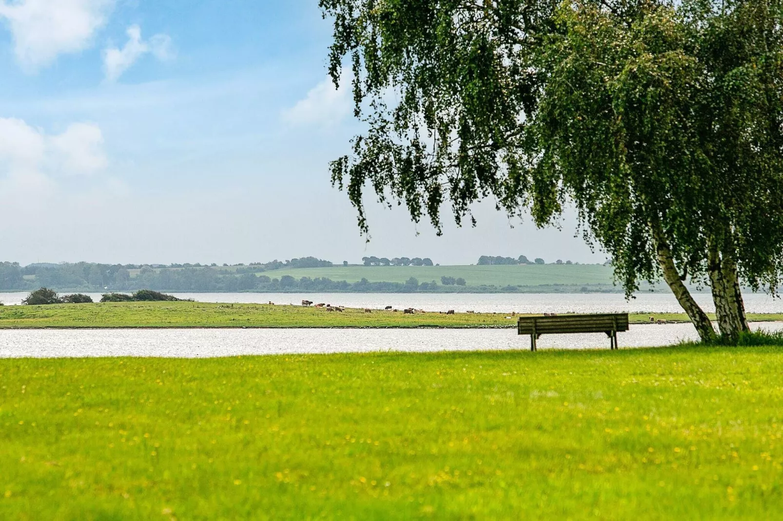 6 persoons vakantie huis in Haarby-By Traum-Uitzicht