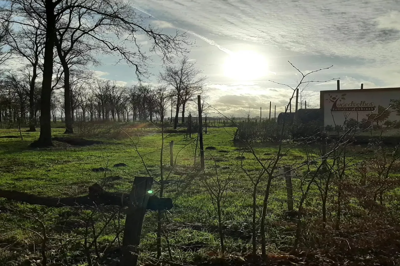 De Ree en de Specht-Uitzicht