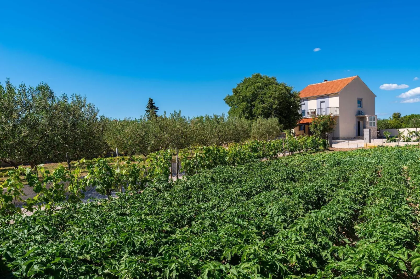 Holiday home Maria-Tuinen zomer