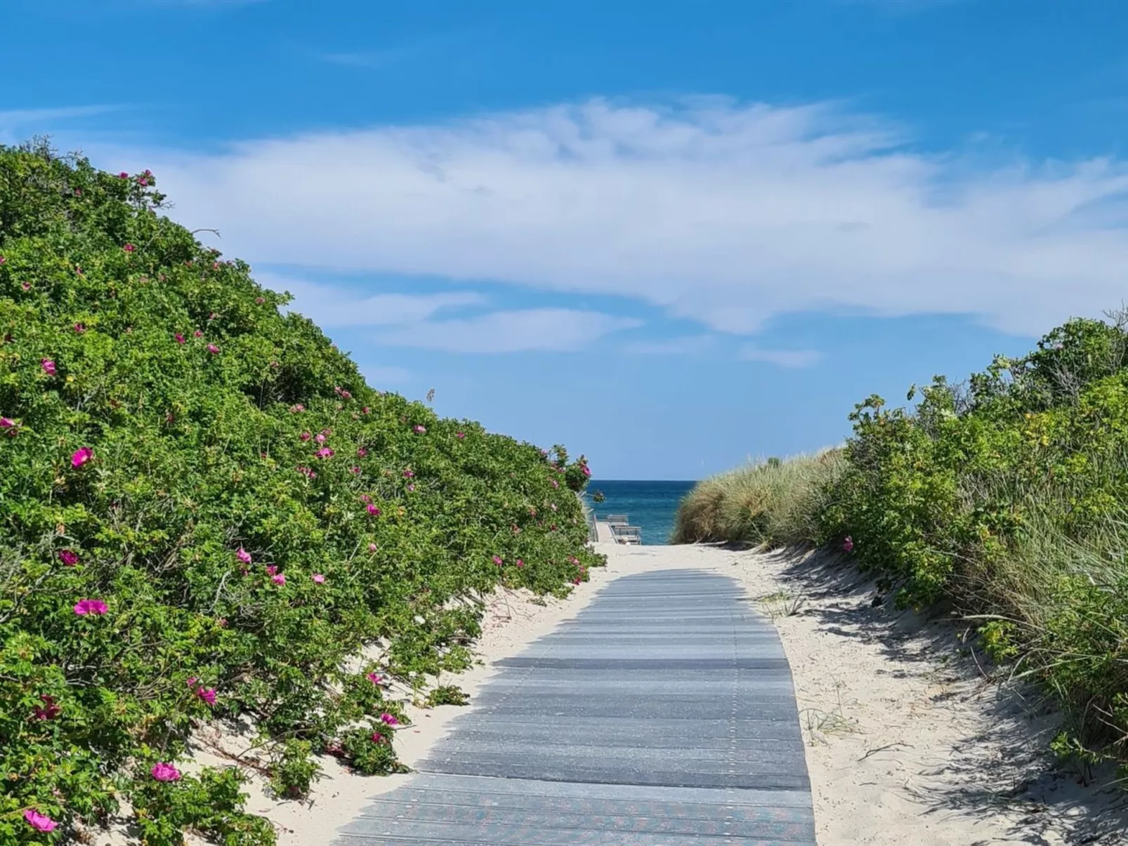 "Grep" - 800m from the sea-Buiten