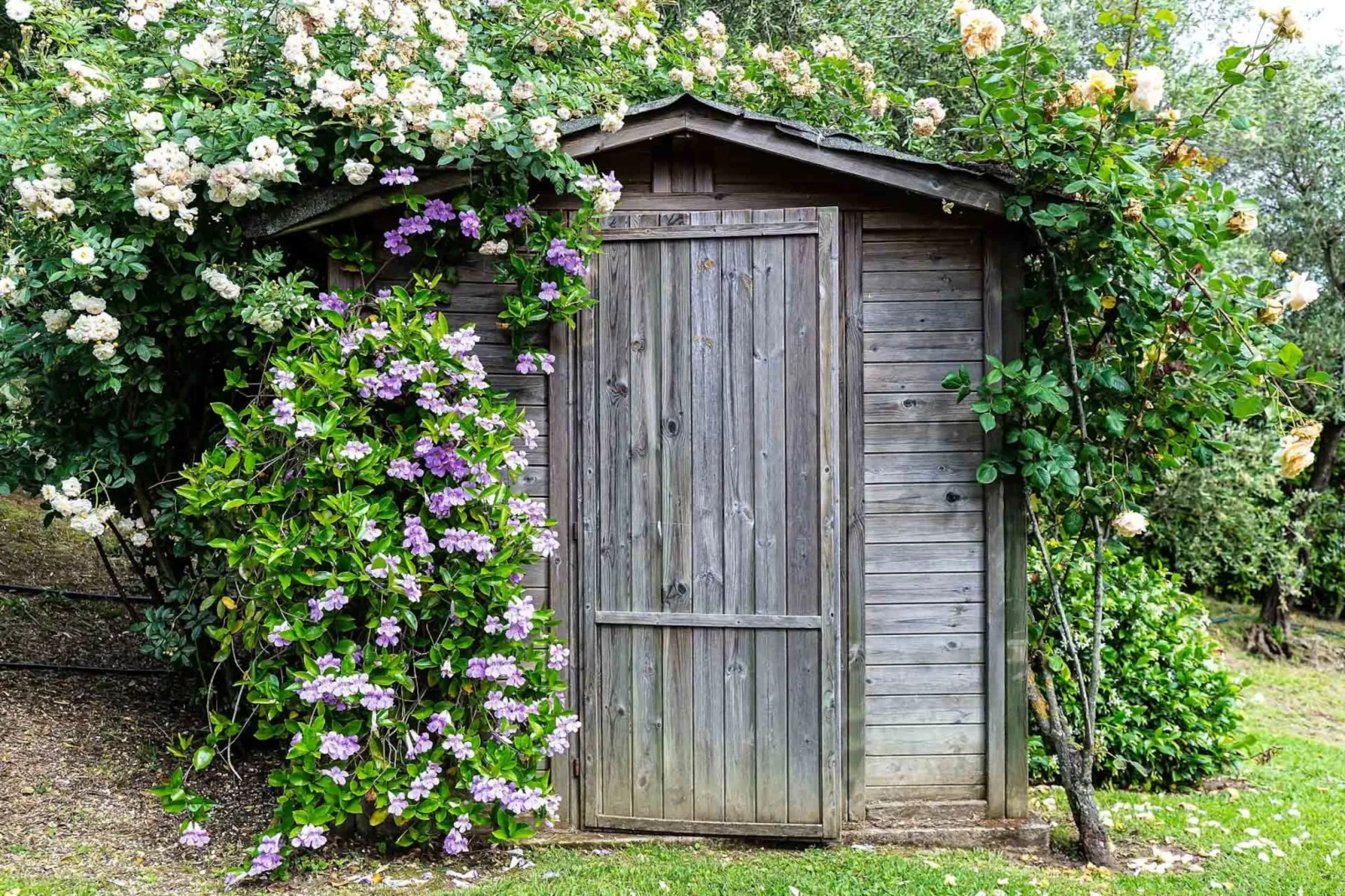 Villa Il Palagio-Terrasbalkon