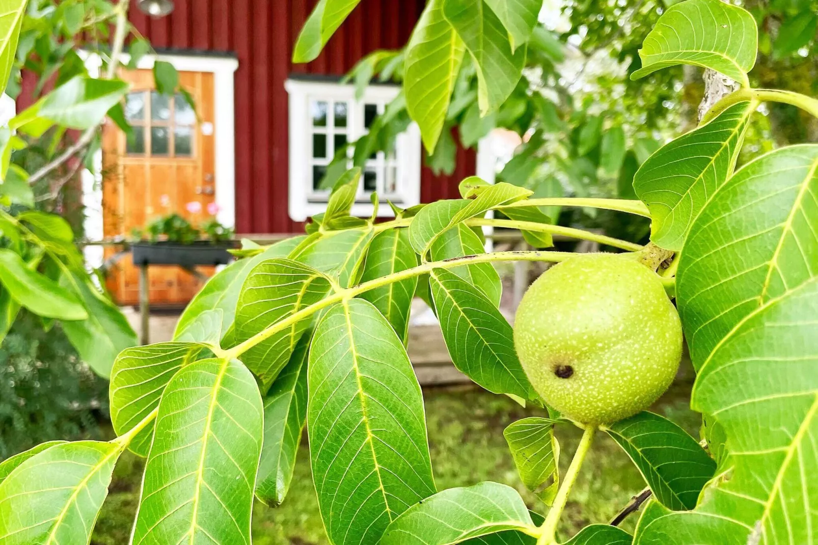 5 persoons vakantie huis in BORGHOLM-Niet-getagd