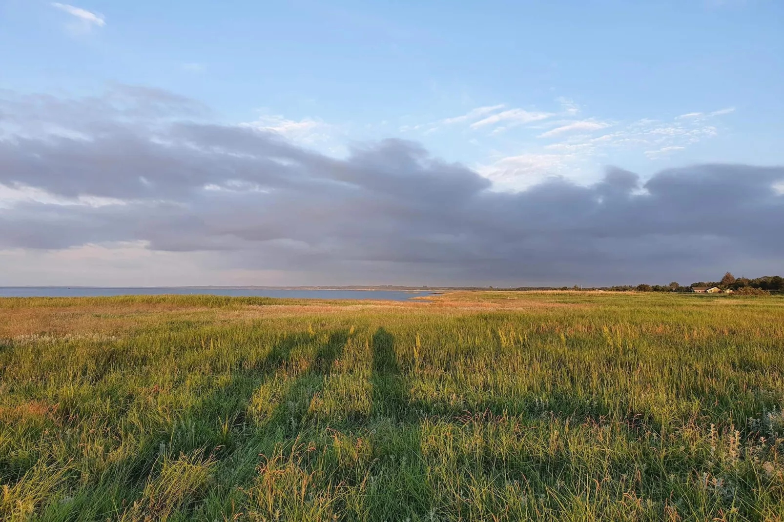 14 persoons vakantie huis in Ørsted-By Traum