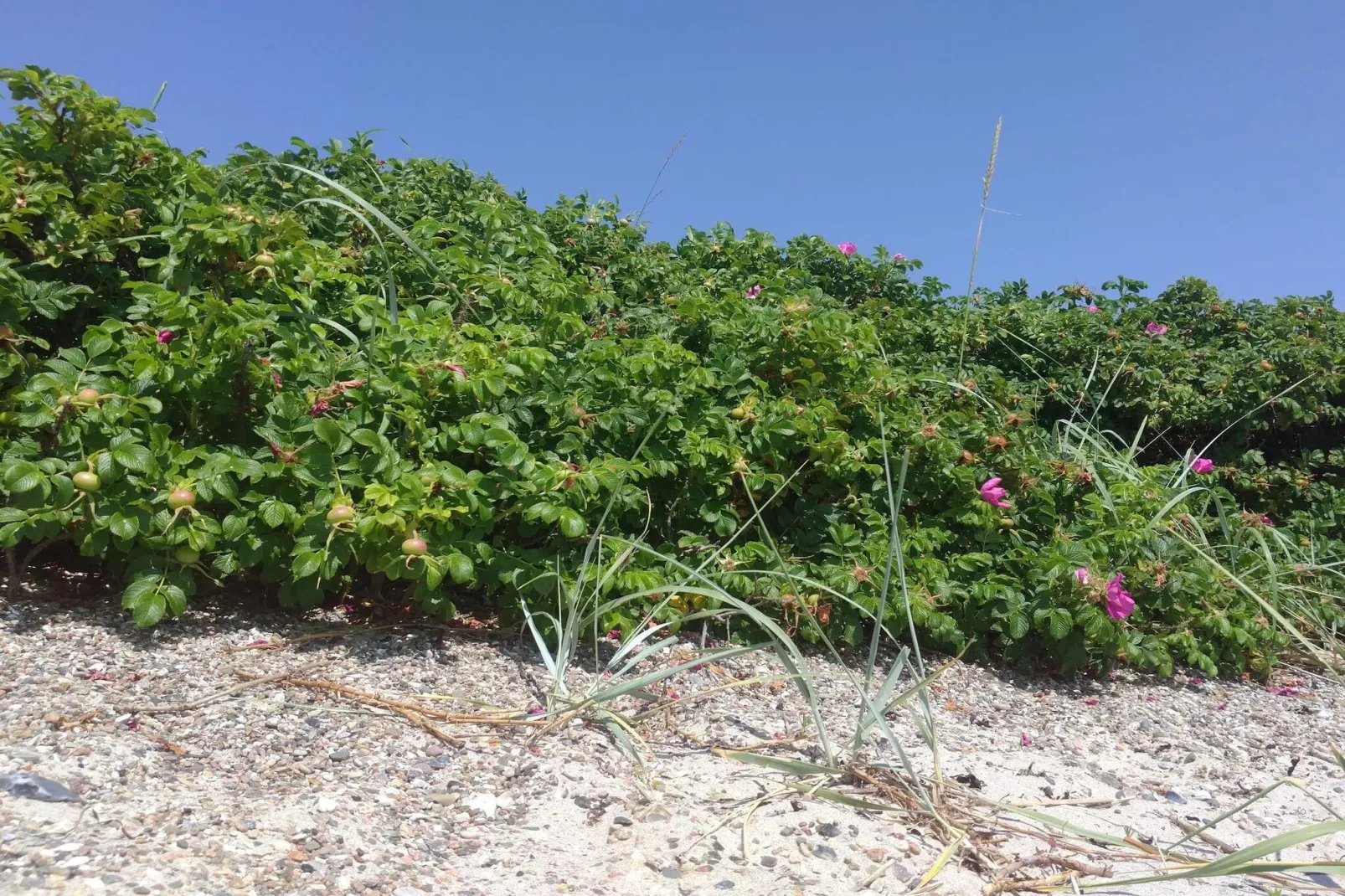 Afgelegen paradijs in Kelstrup -- By Traum Ferienwohnungen-Niet-getagd