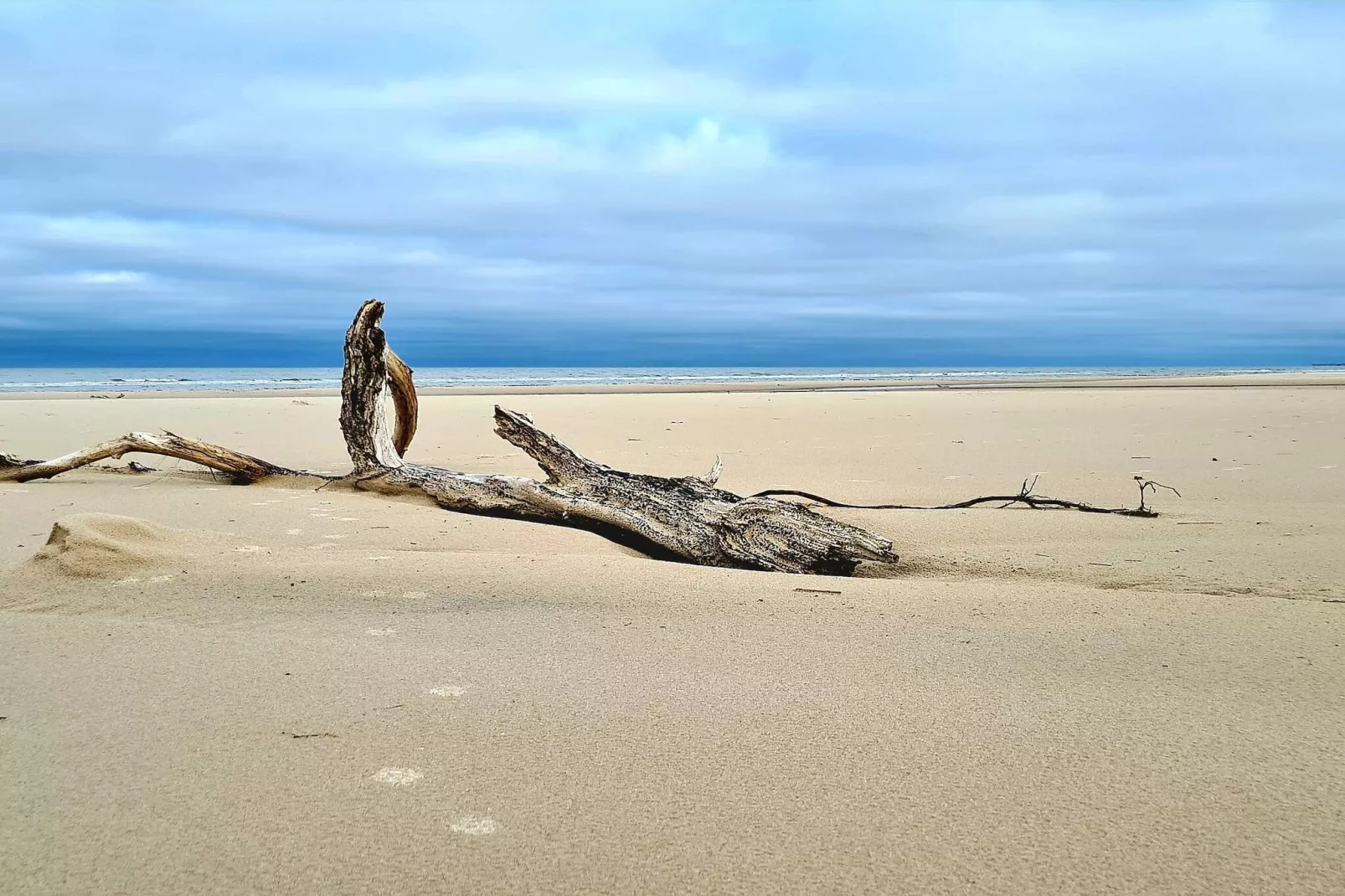 10 persoons vakantie huis in Bindslev-By Traum