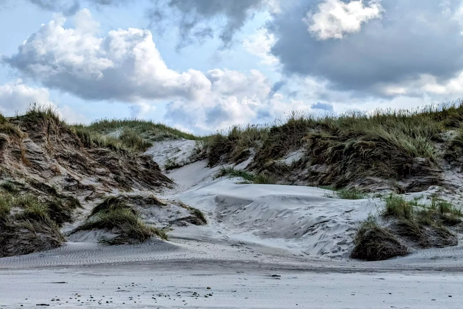 12 persoons vakantie huis in Hirtshals-By Traum