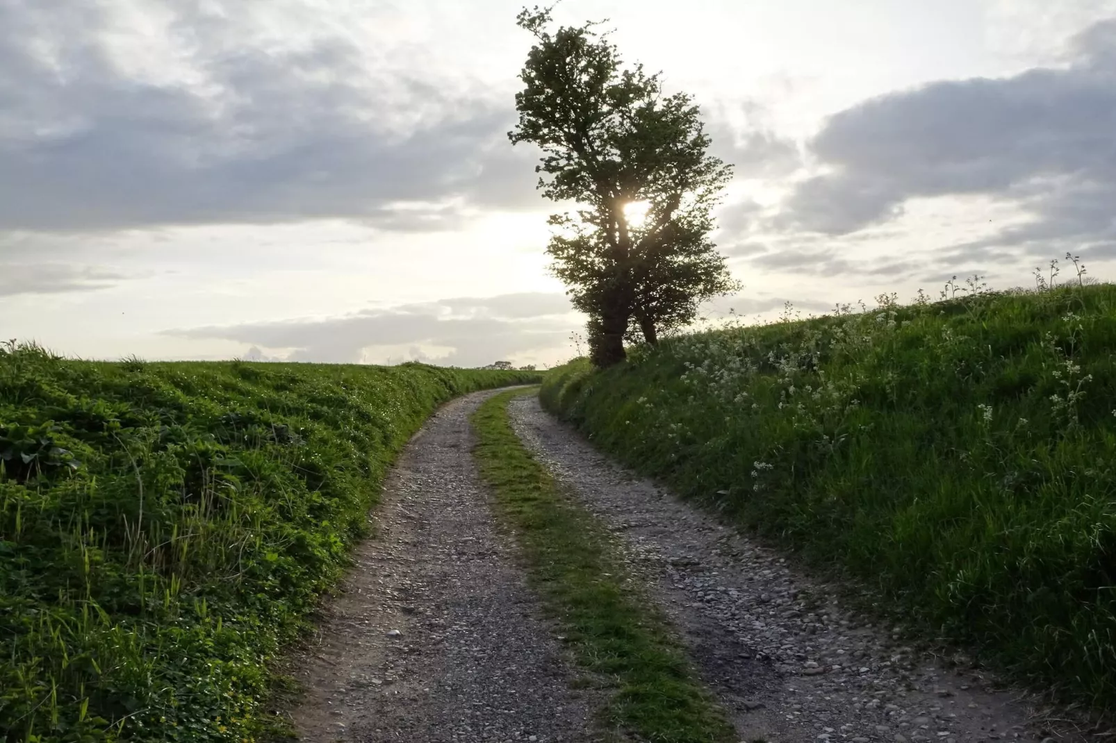 12 persoons vakantie huis in Bredebro-By Traum