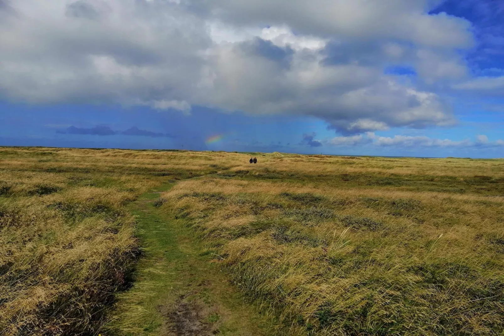 Afgelegen toevlucht nabij strand -- By Traum Ferienwohnungen-Niet-getagd