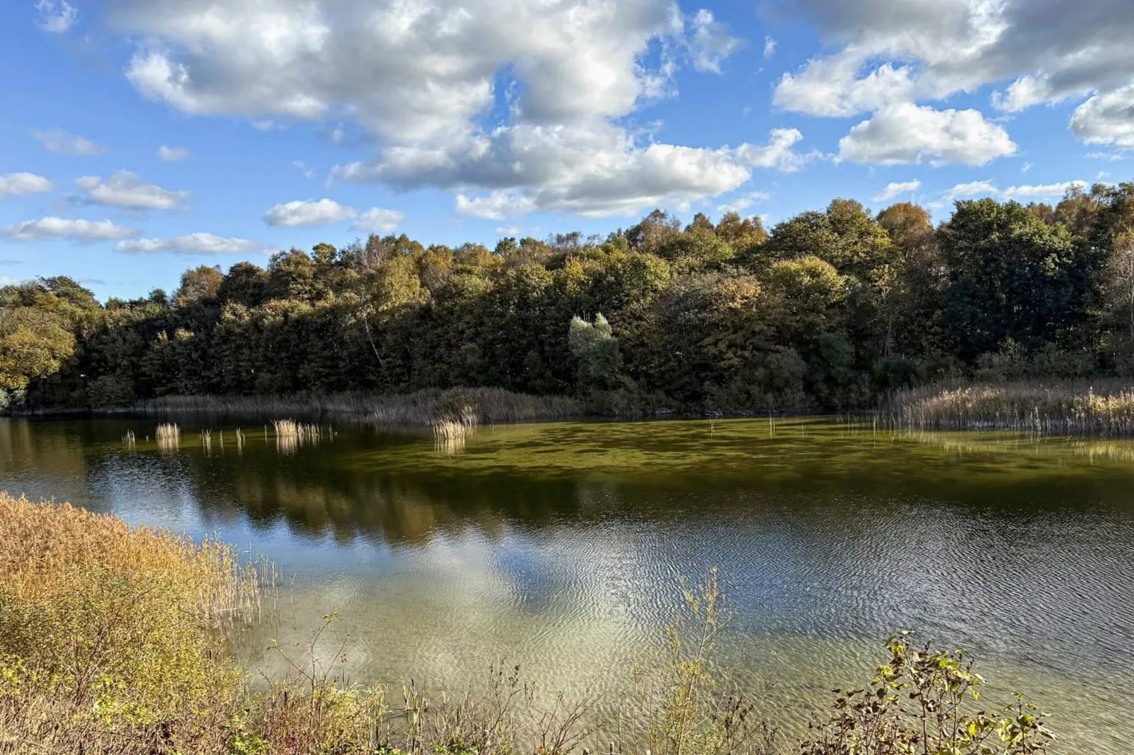 6 Personen vakantie huis in Borup