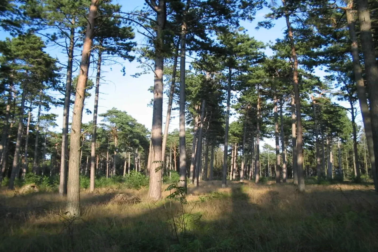 Licht vakantiehuis met bubbelbad -- By Traum Ferienwohnungen-Niet-getagd