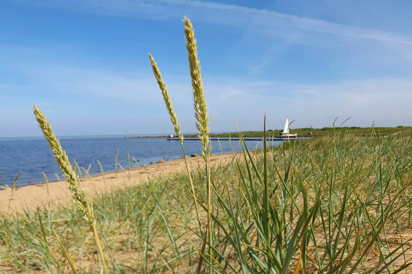 Moderne retraite in Skaven -- By Traum Ferienwohnungen-Waterzicht