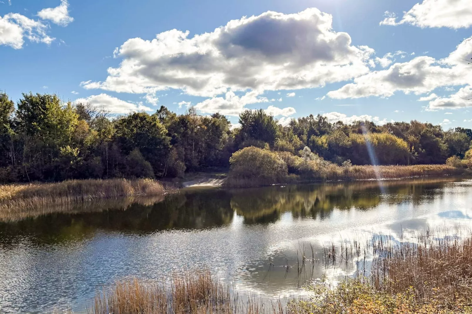 6 Personen vakantie huis in Borup-Niet-getagd