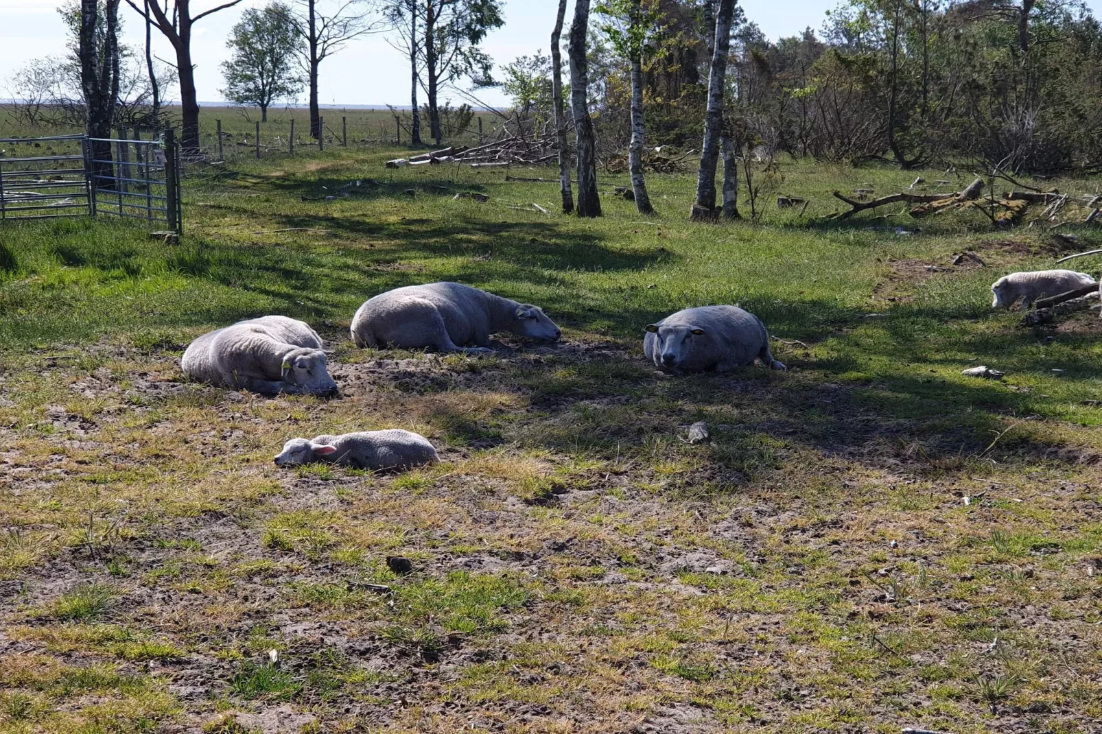Zeezijde oase met tuin-By Traum-Niet-getagd