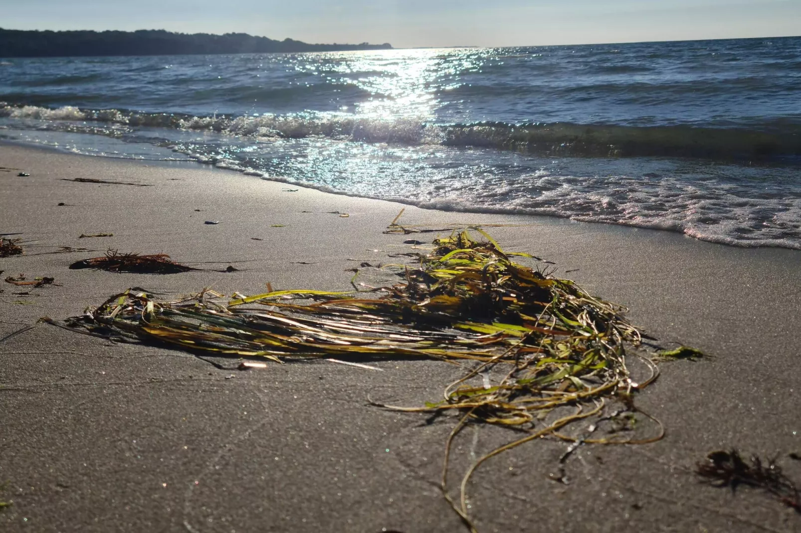 7 persoons vakantie huis in Asnæs-By Traum-Waterzicht