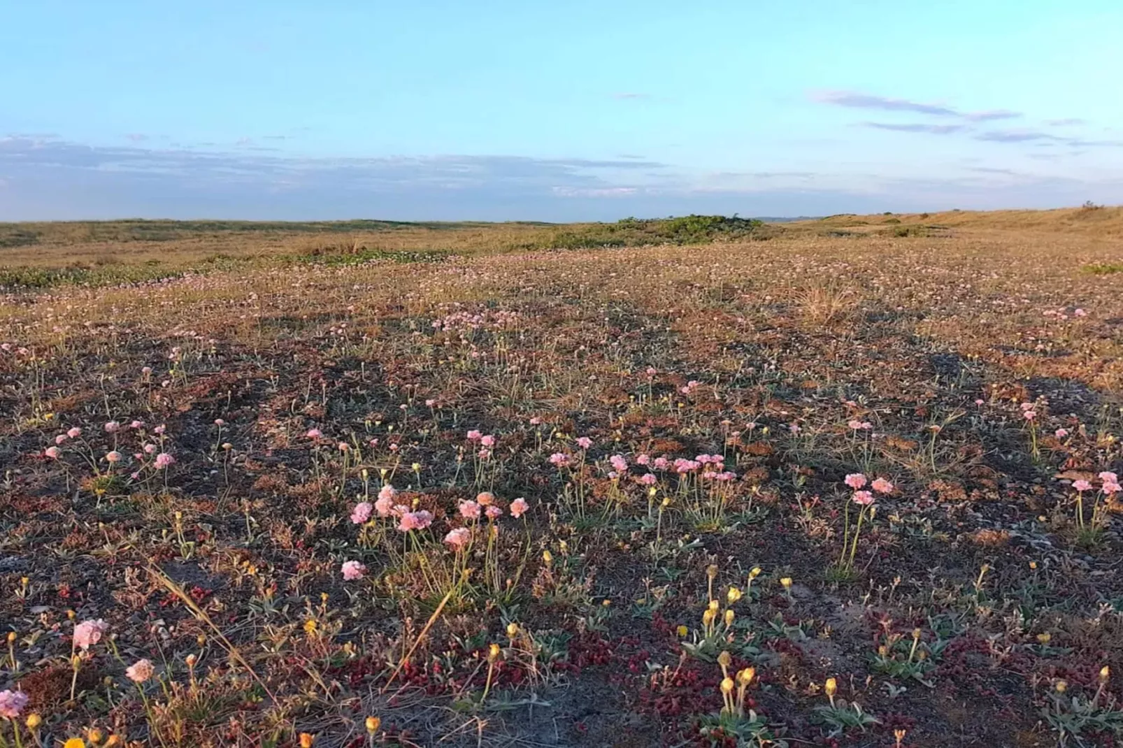 7 persoons vakantie huis in Fjerritslev-By Traum-Niet-getagd