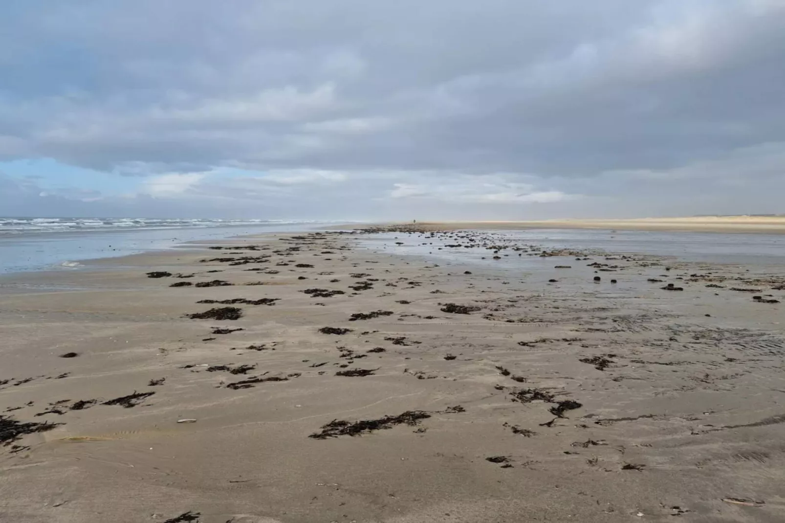 4 persoons vakantie huis in Fanø-Waterzicht