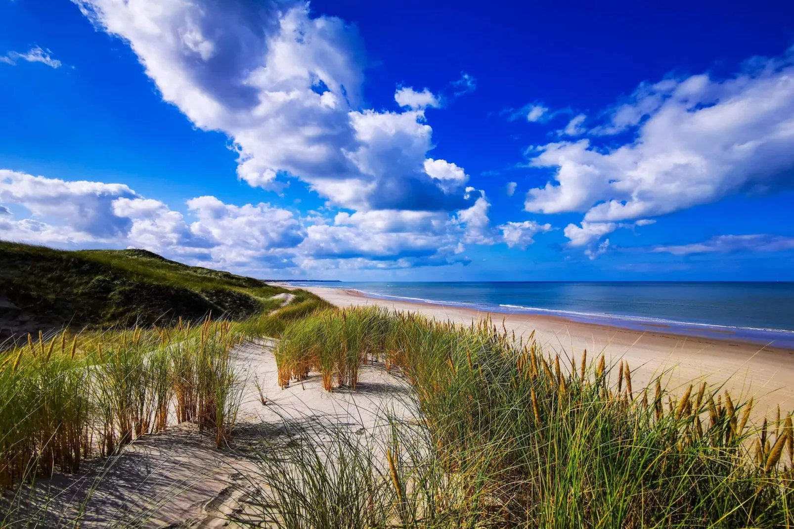 12 persoons vakantie huis in Hirtshals-By Traum-Waterzicht