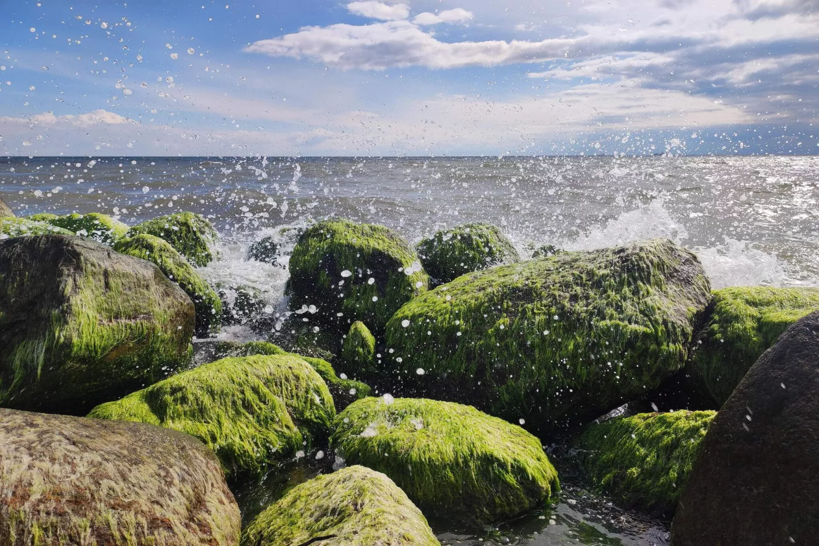 6 persoons vakantie huis in Rømø-By Traum-Waterzicht